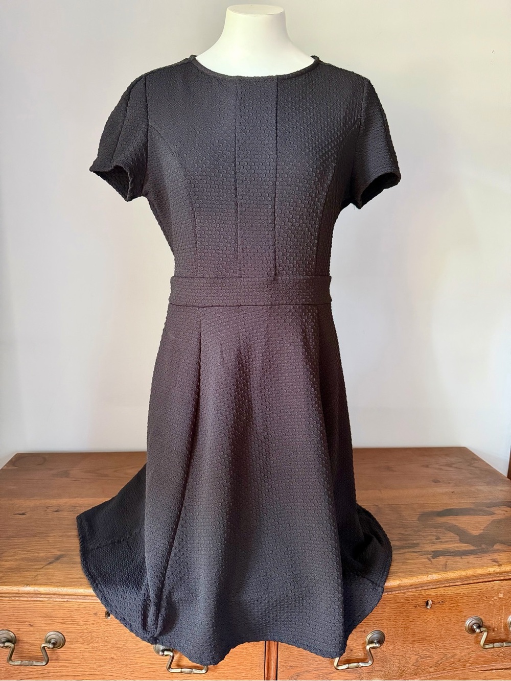 Classic Black Short-Sleeve A-Line Dress